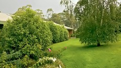Riddell Gardens Aged Care