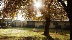 Mercy Place Colac - Retirement Living