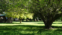 Maroondah Village