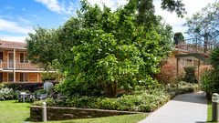 Northcott Gardens