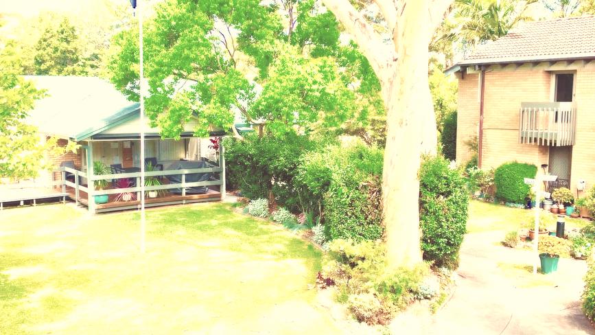 Bright and sunny 1 bedroom unit